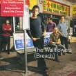The Wallflowers Breach Формат: Audio CD (Jewel Case) Дистрибьютор: Interscope Records Лицензионные товары Характеристики аудионосителей 2000 г Альбом: Импортное издание инфо 728f.